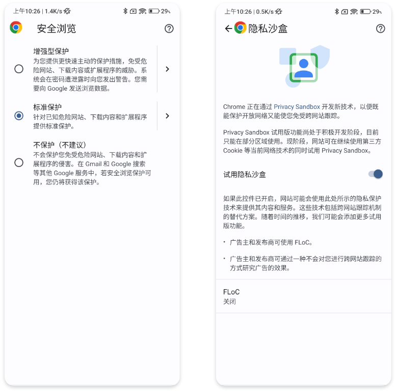 显示“Google 隐私”图标的 Chrome 浏览器窗口。